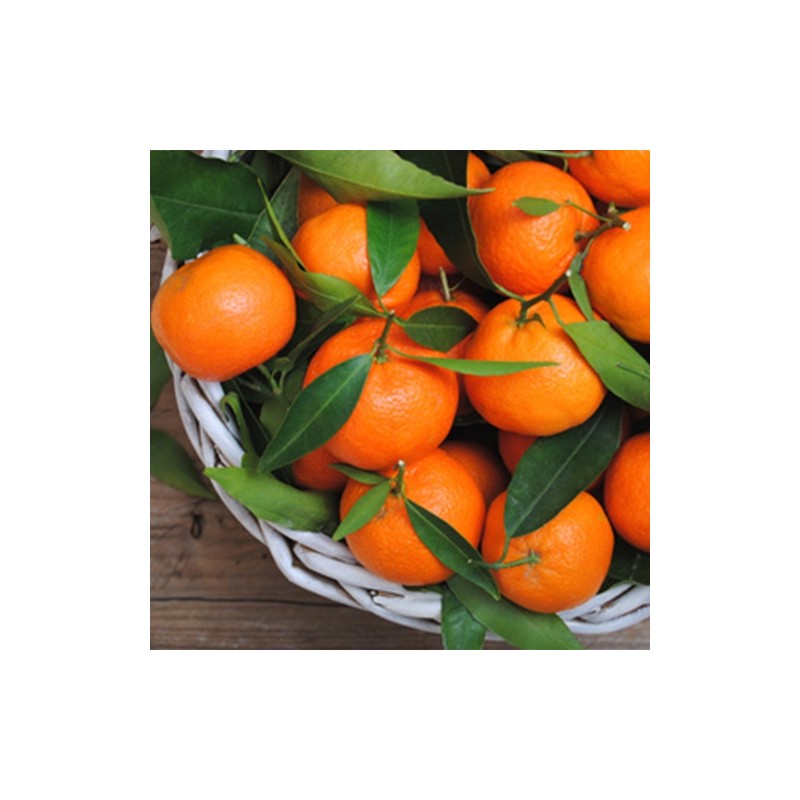 Orange Mandarin Flavor