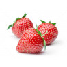 Strawberry Ripe (Clon tpa)